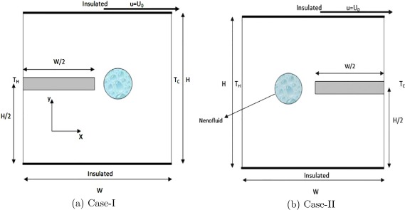 A schematic diagram of the physical model.