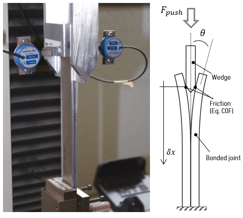 Manterola et al 2021a-image12.png