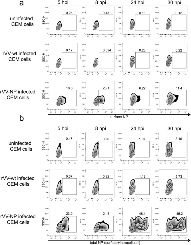 Supplementary Fig. 3