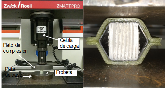 Esnaola et al 2019a 9052 esnaola fig5.png