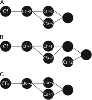 Process of the design jigsaw.