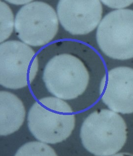Zumaquero et al 2017a-image7-c.png