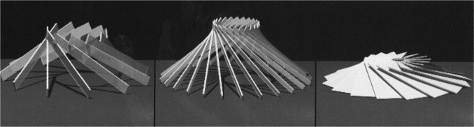Representation of reciprocal trusses that are parametrically modeled (Burry, ...