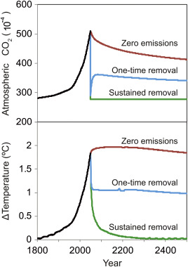 Model-simulated temporal evolution of atmospheric CO2 and change in surface air ...