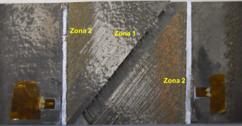 Justo et al 2017a-image12.png