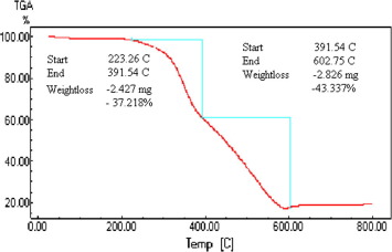 TGA thermograms of the as-received black paint.