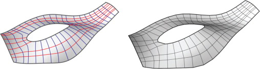 (Left) conjugate curve network (right) preliminary BDMesh.