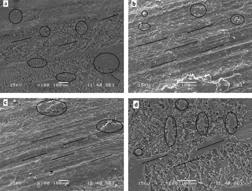 Full-size image (240 K)