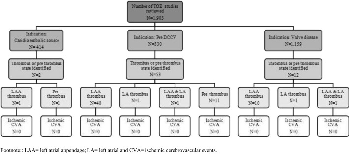 Flow chart of indication for TOE reviewed and result of study. Footnote: ...