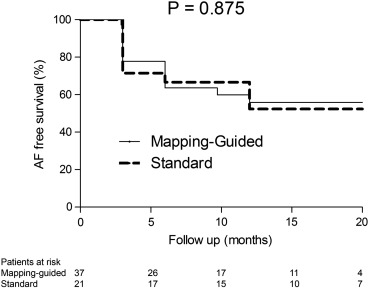 AF free survival after EAS PVI. This figure depicts the AF free survival after ...