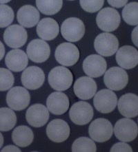 Carballo et al 2021a 6881 carballo fig4.png