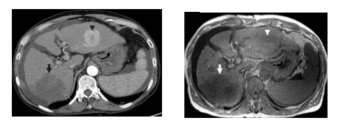 Draft Samper 627449012-image23.png