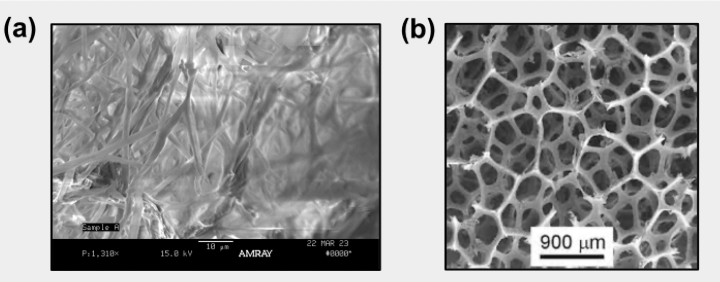 Draft Voelker 516016153 9521 Screen Shot 2023-08-01 at 4.47.14 PM.png