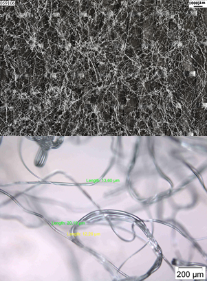 Gayoso et al 2019a-image6.png