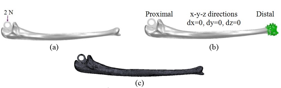 Review 392361619556 3866 18.jpg