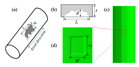 Zheng et al 2021a 6100 fig1.png