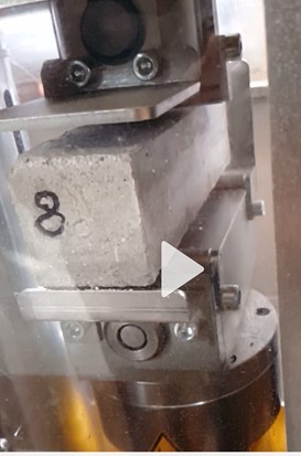 BESOMBES et al 2021a-image8.jpeg