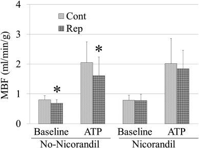 Comparison of myocardial blood flow between normal segments and reperfused ...