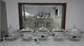 Experimental drying vessels and automatic temperature and humidity recorder.