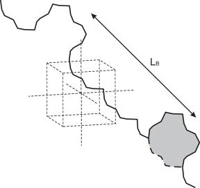 Modelo de caso B en el complejo simplicial del BCC.