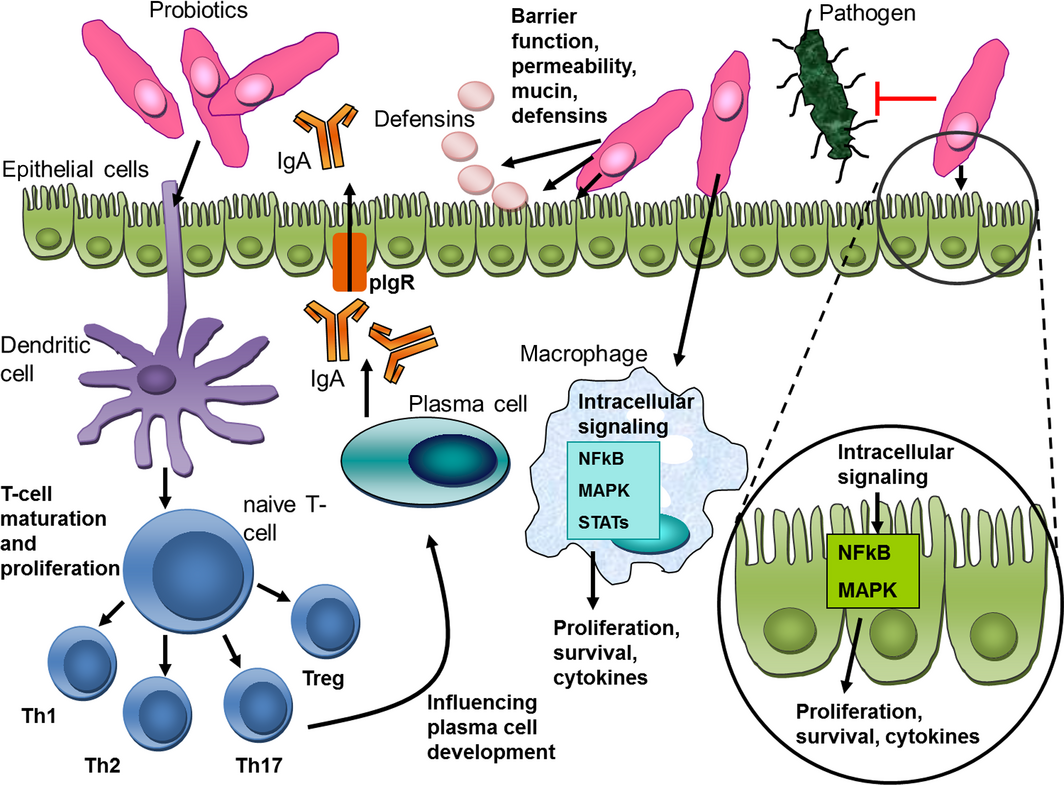 Figure 3.