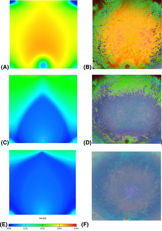 Figure 15.
