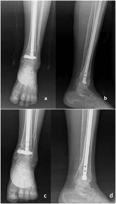 Fig. 7