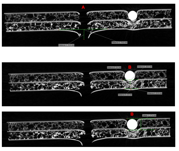 Seddon et al 2019a-image26-c.png