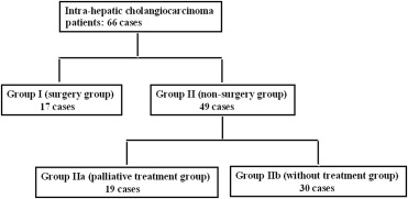 Flow diagram showing the initial therapeutic modalities of all 66 patients over ...