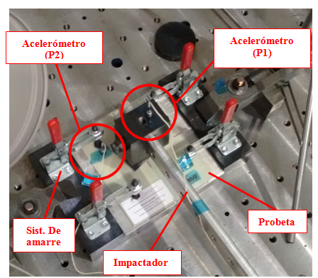 Venegas et al 2017a-image5-c.png
