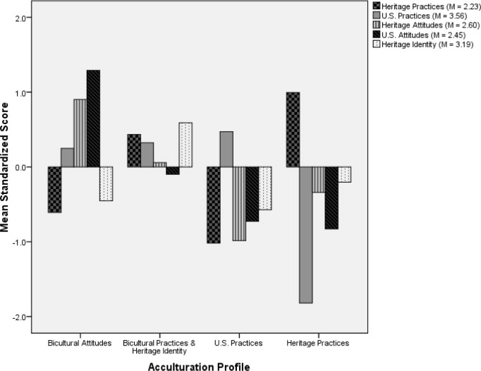 Depiction of Mean Scores of the Final Clusters