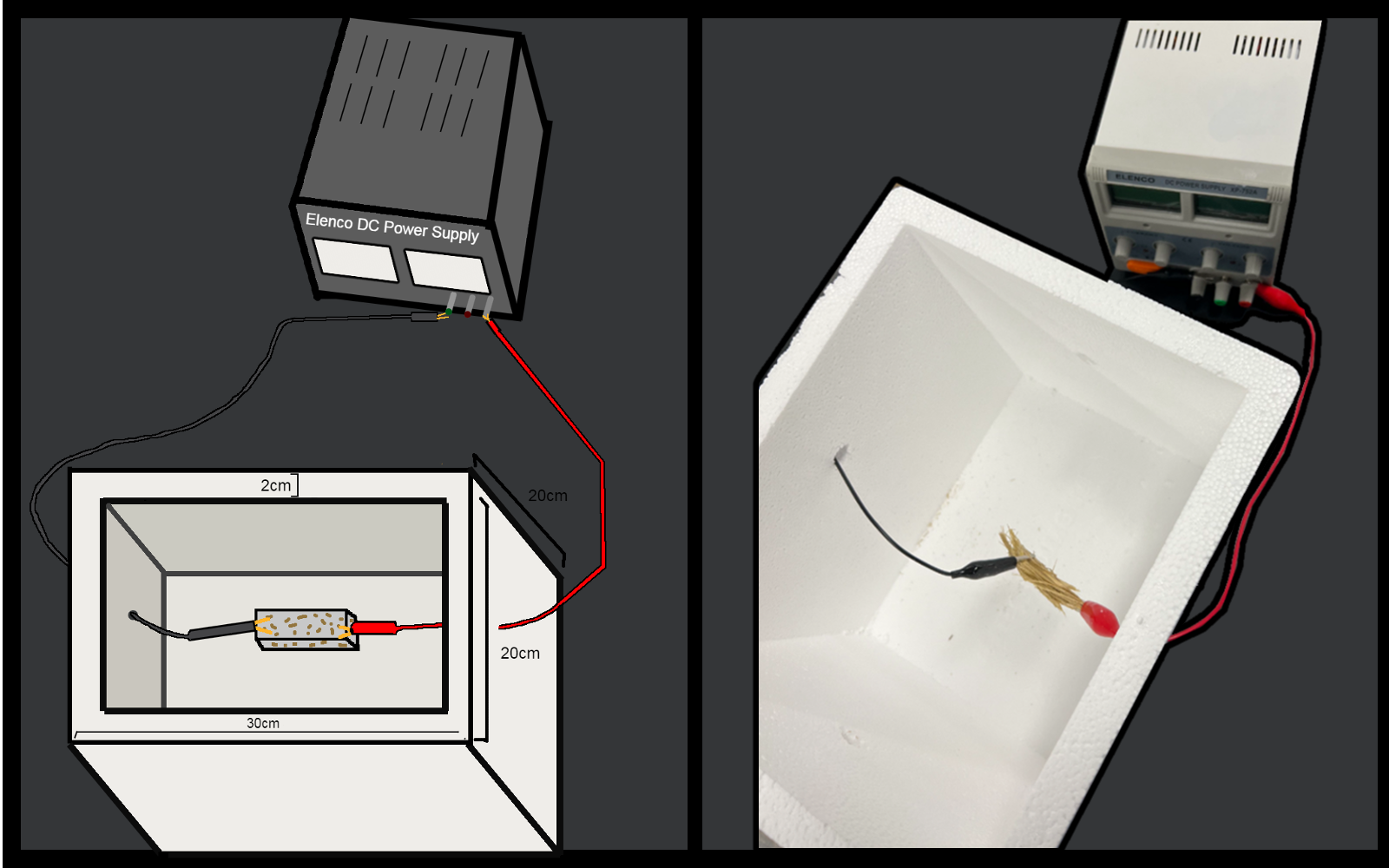 Review 531681295717 4975 thermal.png