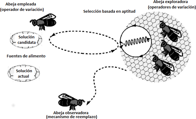 Proceso de generación y sustitución de fuentes en el algoritmo Artificial Bee Colony (ABC) [22