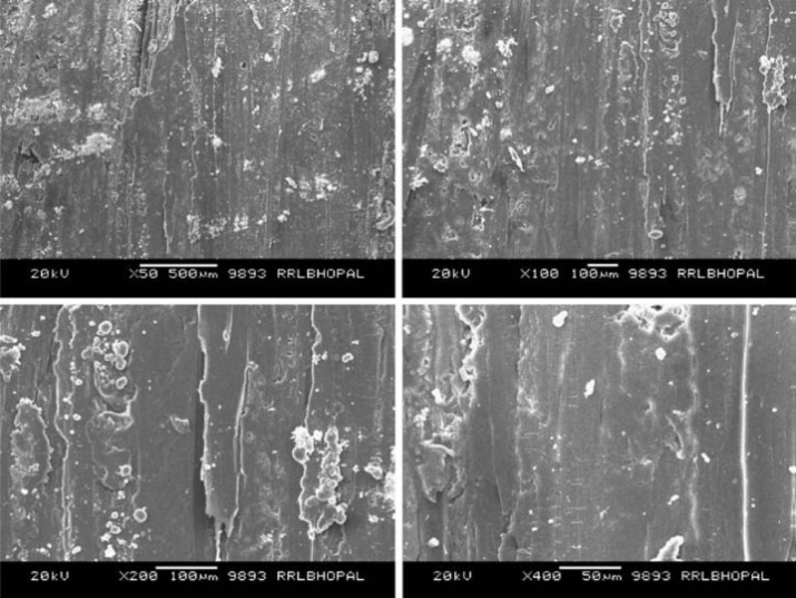 The SEM micrographs of worn surface of parallel orientation sample under sliding ...