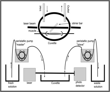 Scheme: O. Möller after Güth, Scientific Instruments, Heidelberg, Germany.