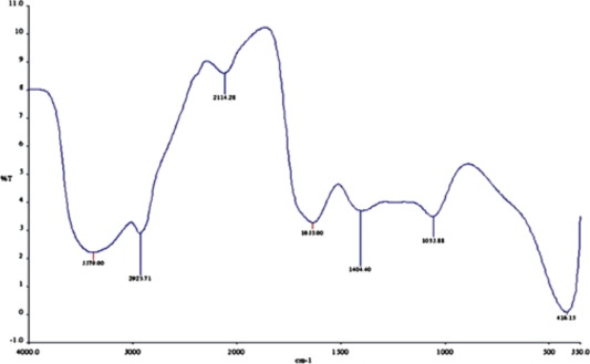 FT-IR spectrum of the elephant grass extract.