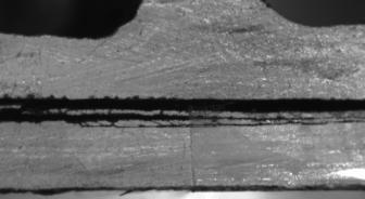 Justo et al 2017a-image15.jpeg