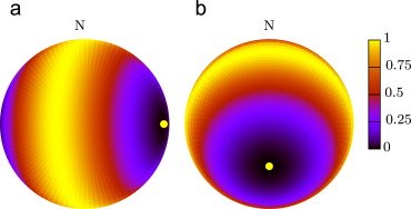Relative degree of polarization of the sky with north at the top and the yellow ...