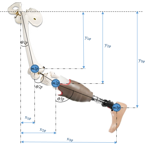 Draft Luengas 531174754-image2-c.png