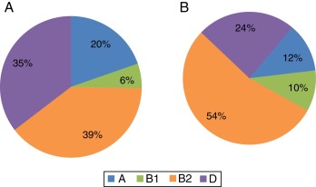 Distribuição dos isolados de Escherichia coli, provenientes de cistites não ...