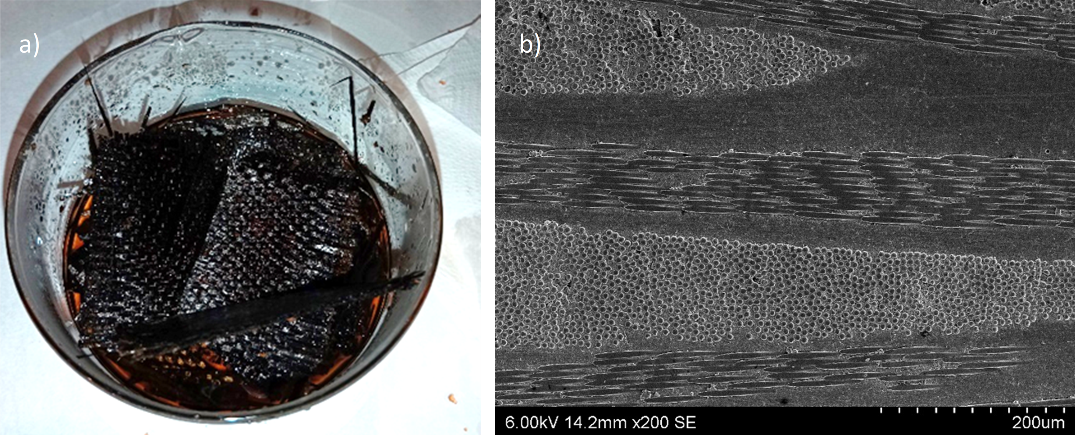 Review 542823853297 9197 Imagen3.png