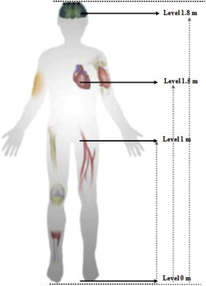 Sensitive levels of human body exposure.