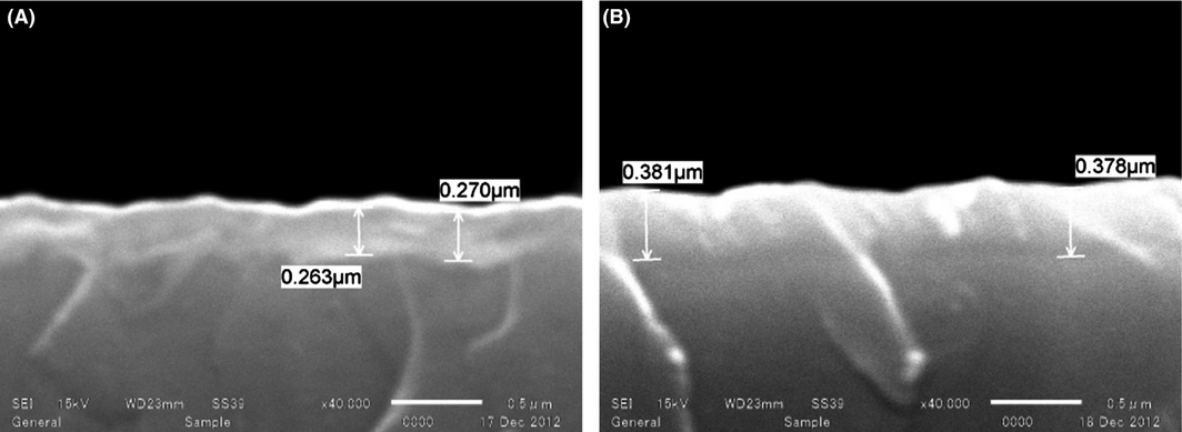 Figure 4.
