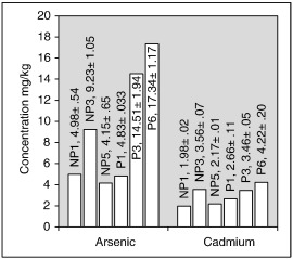Fig. 5.