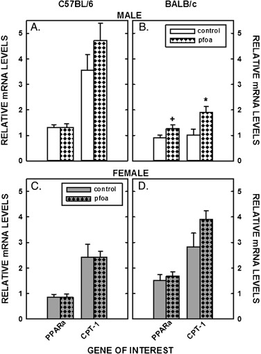 Relative mRNA levels of genes involved PPARα signaling in livers of C57BL/6 (A, ...