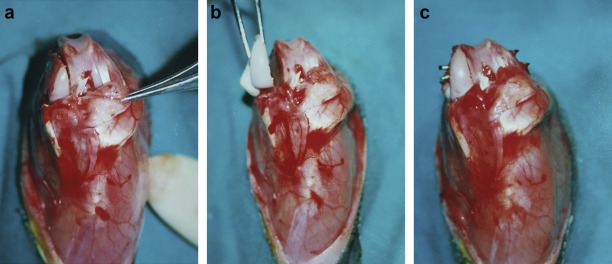 Fig. 1