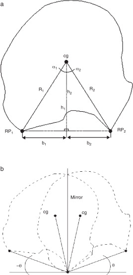 Simetría dinámica: a)cuerpo asimétrico con simetría dinámica; b)simetría de los ...
