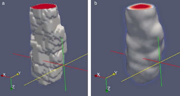 Remuestreo del volumen de la aorta obtenido con Level Set. (a) Volumen original ...