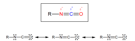 Draft Compuestos 645414349-image6-c.png