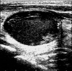 Draft Xu 795668614-image8.png